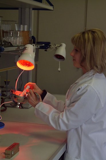 Letzte Chance (Foto: Stadt Bad Frankenhausen)