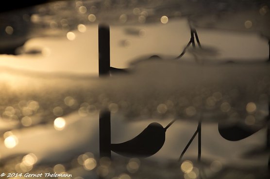 Wetter-Bild (Foto: Gernot Thelemann)