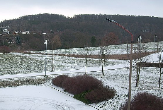 Schneemangel Sondershausen (Foto: Karl-Heinz Herrmann)