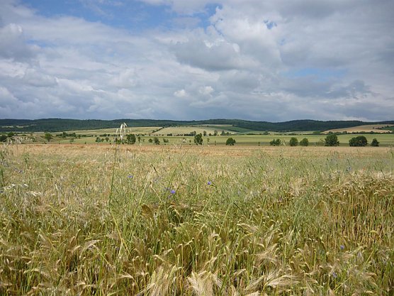 Kulinarische Radtour (Foto: Hohe Schrecke) Kulinarische Radtour (Foto: Hohe Schrecke)