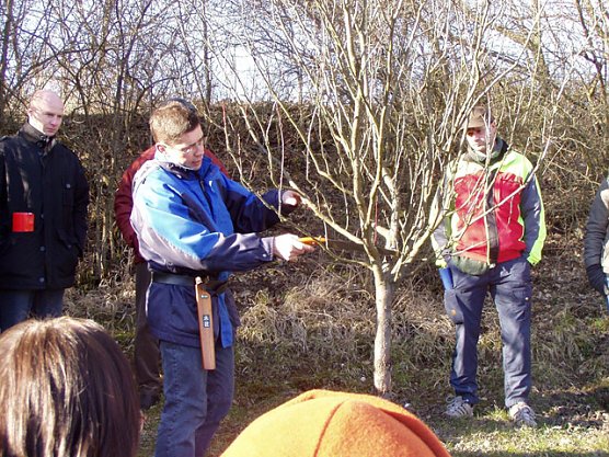 Baumschnitt Vorführung (Foto: Kulturland Friedrichsrode) Baumschnitt Vorführung (Foto: Kulturland Friedrichsrode)