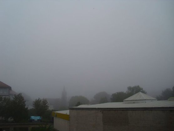 Ist denn schon Herbst? (Foto: Thomas Leipold) Ist denn schon Herbst? (Foto: Thomas Leipold)