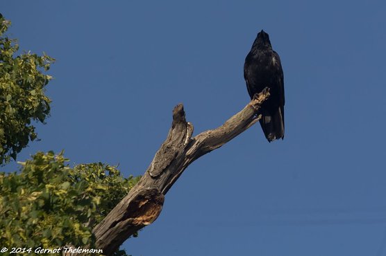 Wetter-Bild (Foto: Gernot Thelemann) Wetter-Bild (Foto: Gernot Thelemann)