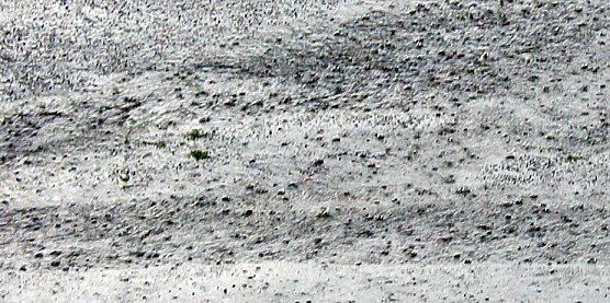 Wenn das so weiter geht (Foto: Karl-Heinz Herrmann)