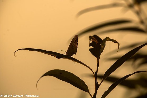 Wetter-Bild (Foto: Gernot Thelemann)