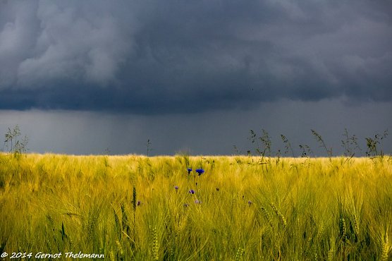 Wetter-Bild (Foto: Gernot Thelemann)