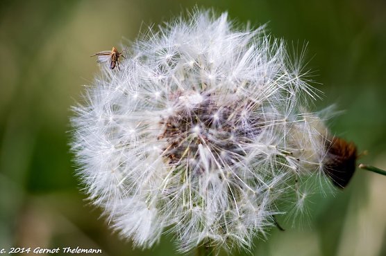 Wetter-Bild (Foto: Gernot Thelemann) Wetter-Bild (Foto: Gernot Thelemann)