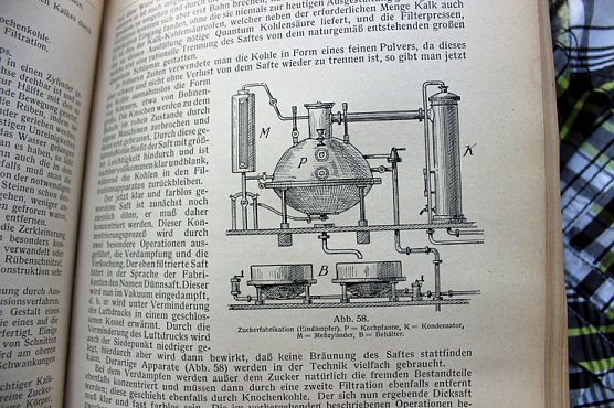 Schenkung an die Stadt (Foto: Karl-Heinz Herrmann (Manfred Kucksch)) Schenkung an die Stadt (Foto: Karl-Heinz Herrmann (Manfred Kucksch))