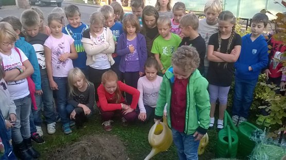 Kinder pflanzen Geburtstagsgeschenk (Foto: Privat) Kinder pflanzen Geburtstagsgeschenk (Foto: Privat)