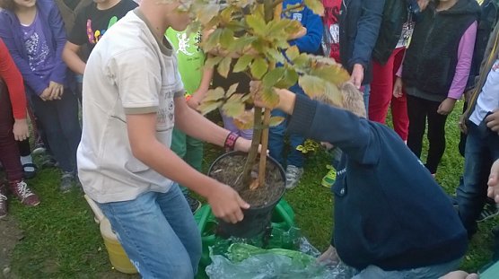 Kinder pflanzen Geburtstagsgeschenk (Foto: Privat) Kinder pflanzen Geburtstagsgeschenk (Foto: Privat)