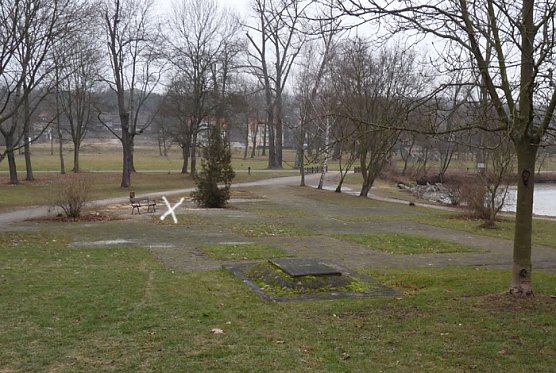 Baumf&auml;llen am Parkteich (Foto: Karl-Heinz Herrmann)