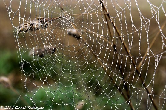 Wetter-Bild (Foto: Gernot Thelemann)