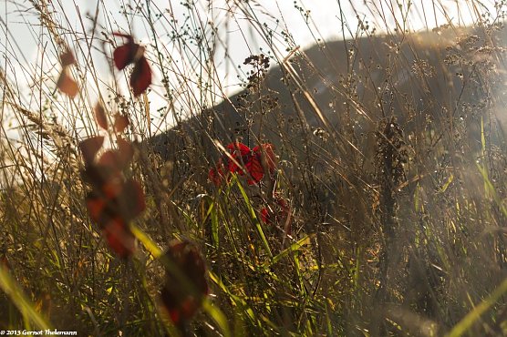 Wetter-Bild (Foto: Gernot Thelemann)