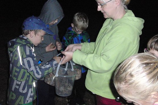 Nachtwanderung (Foto: Mehrgenerationshaus Roßleben) Nachtwanderung (Foto: Mehrgenerationshaus Roßleben)