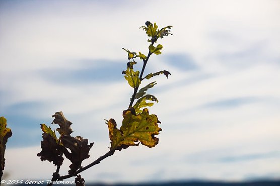 Wetterbild (Foto: Gernot Thelemann)