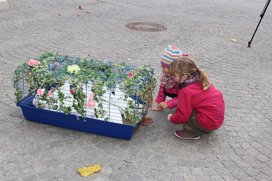 Fest der Demokratie gestartet (Foto: Karl-Heinz Herrmann) Fest der Demokratie gestartet (Foto: Karl-Heinz Herrmann)