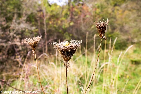 Wetterbild (Foto: Gernot Thelemann) Wetterbild (Foto: Gernot Thelemann)