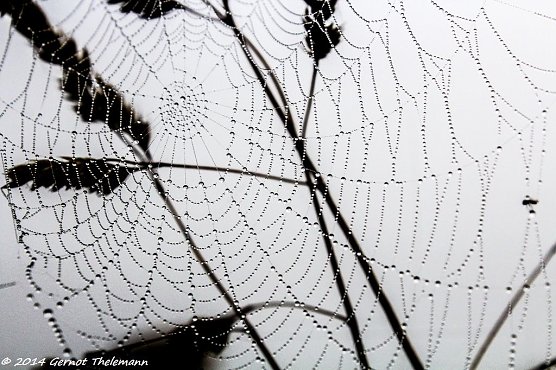 Wetter-Bild (Foto: Gernot Thelemann) Wetter-Bild (Foto: Gernot Thelemann)