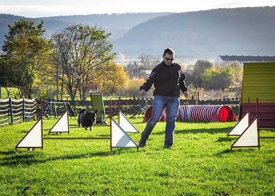 Agility Fun-Turnier in der Hundeschule ABC (Foto: Stadt Bad Frankenhausen)