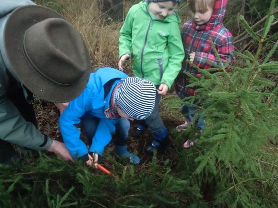 Der Tannenbaum im Winterwald (Foto: Kindervilla Bad Frankenhausen) Der Tannenbaum im Winterwald (Foto: Kindervilla Bad Frankenhausen)