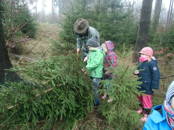 Der Tannenbaum im Winterwald (Foto: Kindervilla Bad Frankenhausen) Der Tannenbaum im Winterwald (Foto: Kindervilla Bad Frankenhausen)