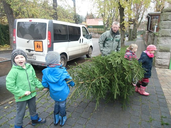 Der Tannenbaum im Winterwald (Foto: Kindervilla Bad Frankenhausen) Der Tannenbaum im Winterwald (Foto: Kindervilla Bad Frankenhausen)