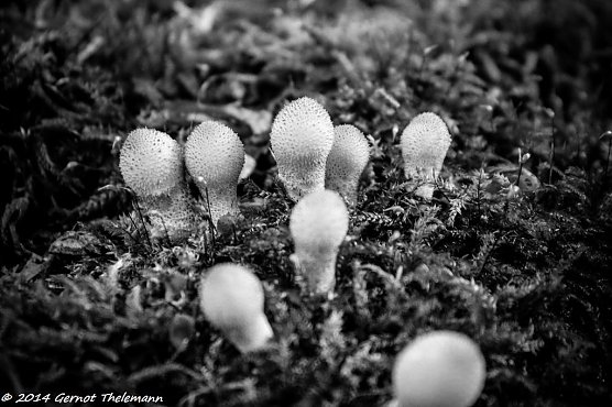 Wetter-Bild (Foto: Gernot Thelemann)