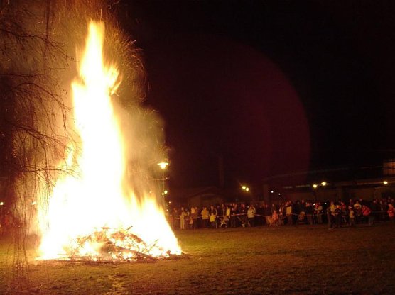 Weihnachtsbäume werden wieder benötigt! (Foto: Stadt Bad Frankenhausen) Weihnachtsbäume werden wieder benötigt! (Foto: Stadt Bad Frankenhausen)