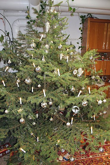 Im Verband Weihnacht gefeiert (Foto: Karl-Heinz Herrmann) Im Verband Weihnacht gefeiert (Foto: Karl-Heinz Herrmann)