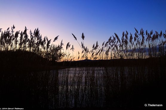 Wetter-Bild (Foto: Gernot Thelemann)