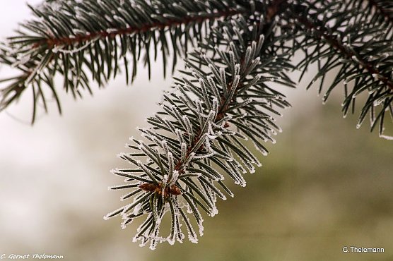 Wetterbild (Foto: Gernot Thelemann) Wetterbild (Foto: Gernot Thelemann)
