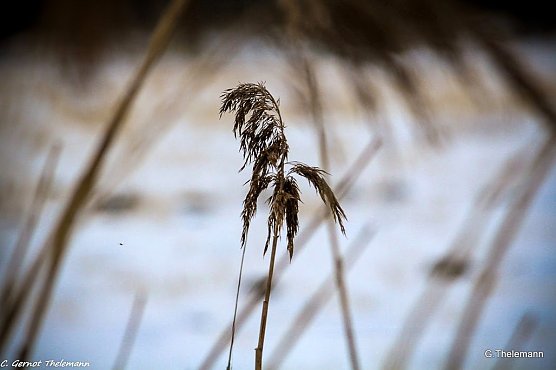 Wetter-Bild (Foto: Gernot Thelemann) Wetter-Bild (Foto: Gernot Thelemann)