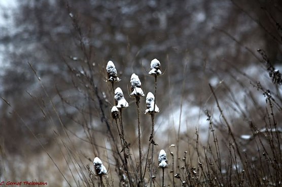 Wetter-Bild (Foto: Gernot Thelemann)