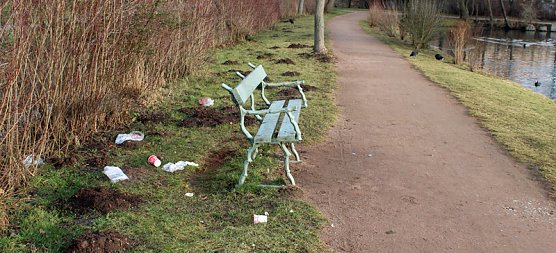 Schnee deckt nicht alles zu (Foto: Privat)