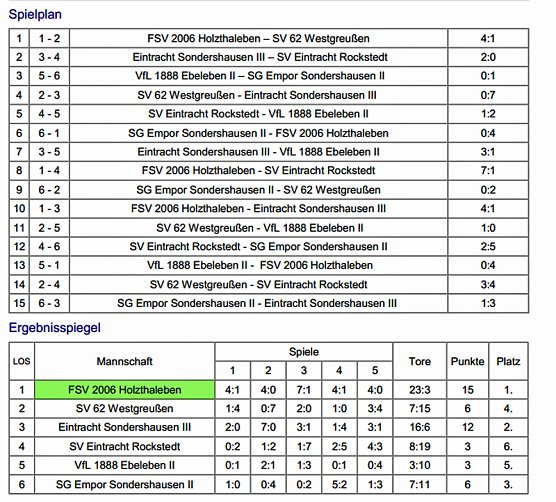Endrunde im Hallenfu&szlig;ball komplett (Foto: Nordth&uuml;ringer Fu&szlig;ballverband)