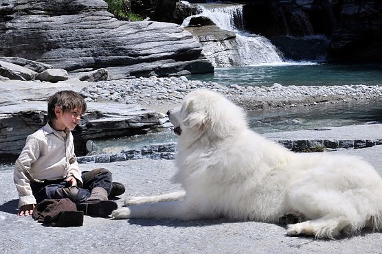 Belle und Sebastian (Foto: Rechteinhaber: ascot elite )