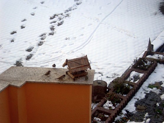 Trotz des milden Winters - V&ouml;gel nicht vergessen (Foto: Thomas Leiphold)