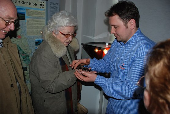 Welt der Spinnen (Foto: Regionalmuseum Bad Frankenhausen)