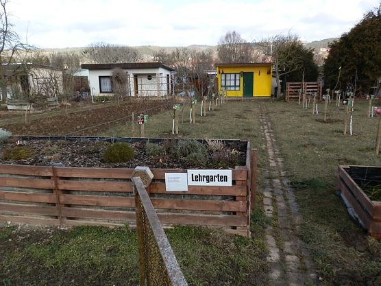 Obstbaumschnitt im Kyffh&auml;userkreis (Foto: Privat)