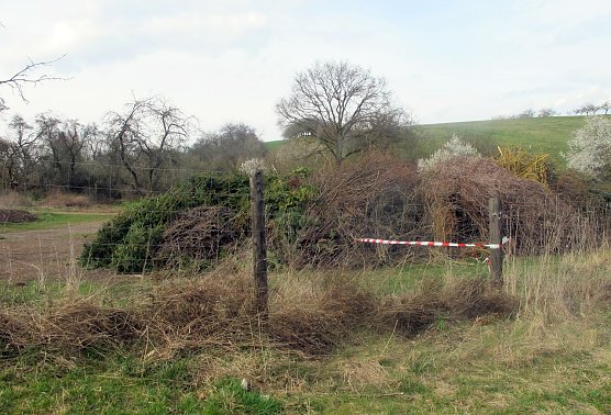 Alles klar f&uuml;r das Osterfeuer (Foto: privat)