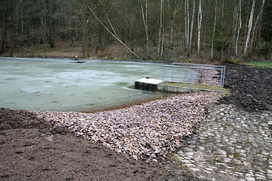 Nun k&ouml;nnen Libellen und Amphibien kommen! (Foto: Naturstiftung David)