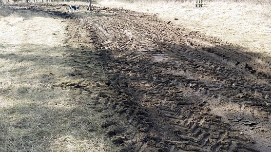 Frühlingsspaziergang der "besonderen Art" (Foto: Bernd Otto) Frühlingsspaziergang der "besonderen Art" (Foto: Bernd Otto)