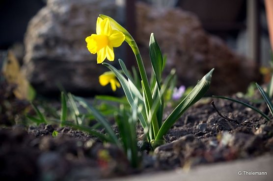 Wetterbild (Foto: Gernot Thelemann) Wetterbild (Foto: Gernot Thelemann)