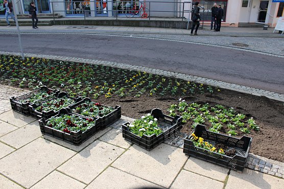 Es wird Fr&uuml;hling - mit Fr&uuml;hlingsfest (Foto: Privat)