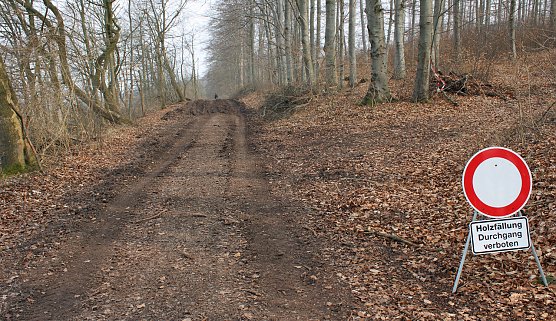 Vorsicht an einigen Wanderwegen (Foto: Karl-Heinz Herrmann) Vorsicht an einigen Wanderwegen (Foto: Karl-Heinz Herrmann)