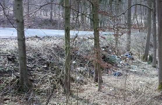 M&uuml;ll &uuml;ber M&uuml;ll (Foto: Privat)