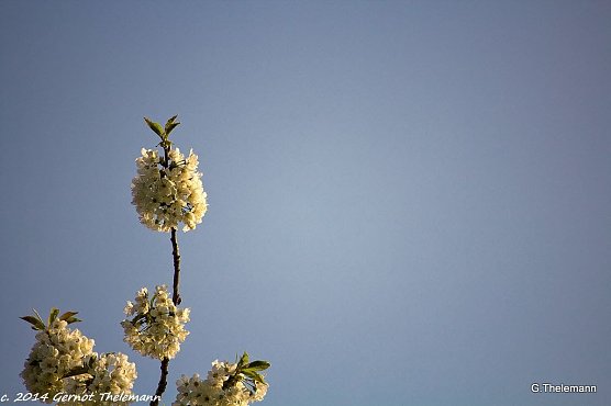 Wetterbild (Foto: Gernot Thelemann) Wetterbild (Foto: Gernot Thelemann)