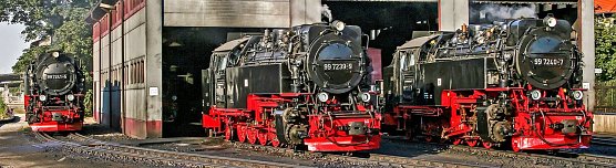 Die Brocken-Loks (Foto: Bahnsen/HSB)