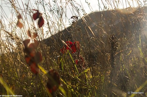 Wetter-Bild (Foto: Gernot Thelemann) Wetter-Bild (Foto: Gernot Thelemann)