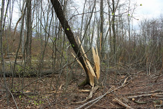 Wanderregion Sondershausen (Foto: Karl-Heinz Herrmann) Wanderregion Sondershausen (Foto: Karl-Heinz Herrmann)